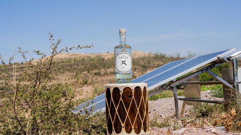 Bottle of Casa Lotos with solar panel