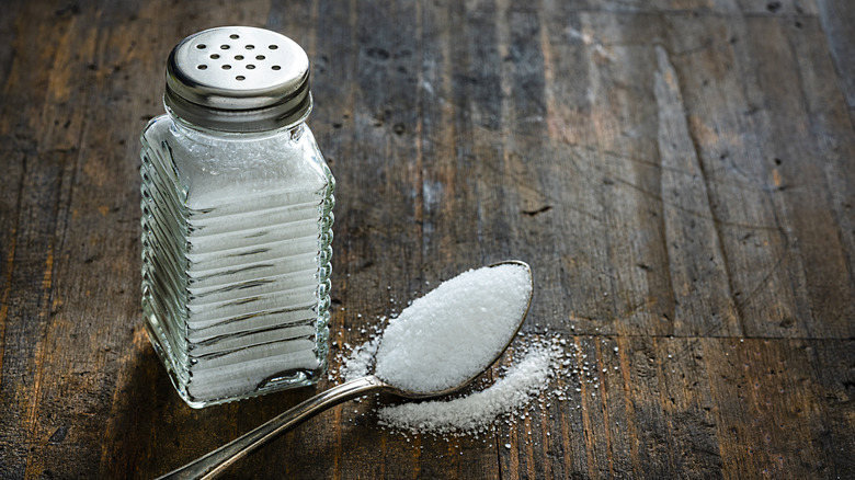 Shaker and spoonful of salt
