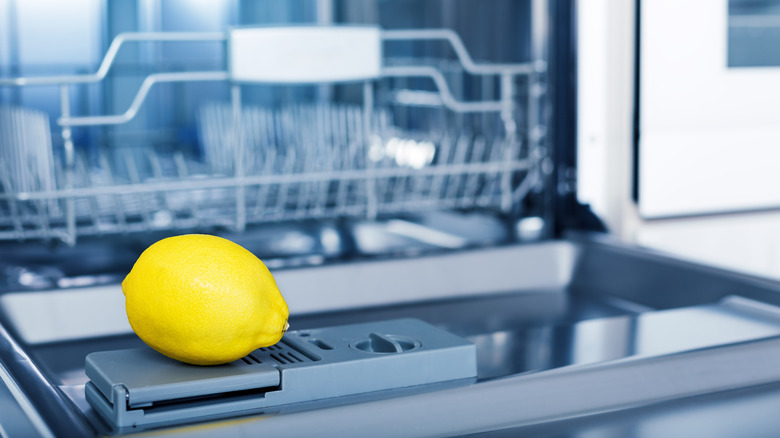A lemon sitting inside an open dishwasher