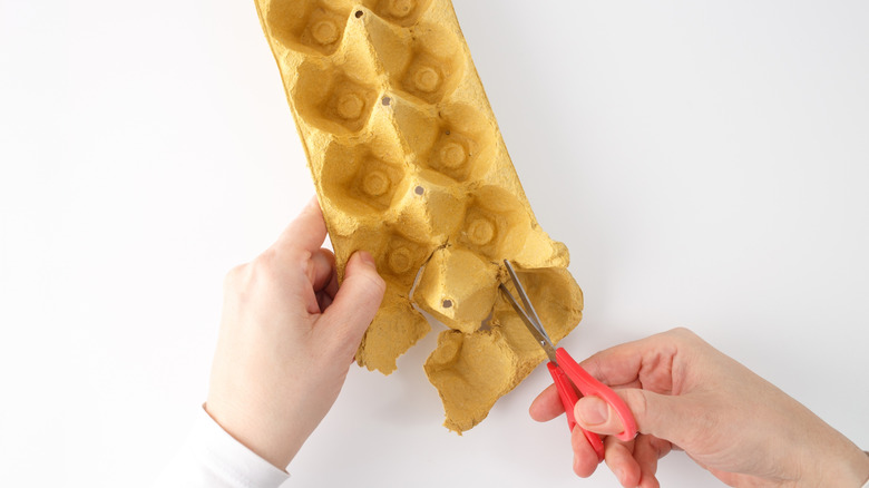 Person cutting up a yellow egg carton with small red scissors