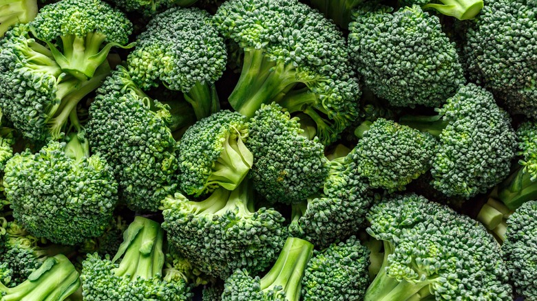 many broccoli florets close up