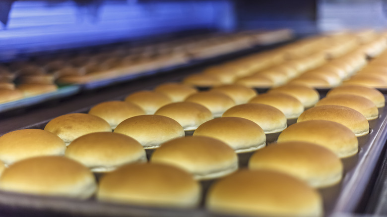 Rows of hamburger buns lined up on trays