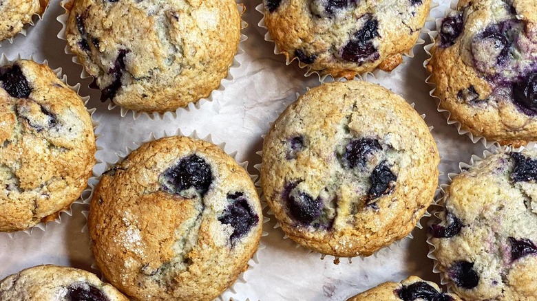 Blueberry muffin on white tray.