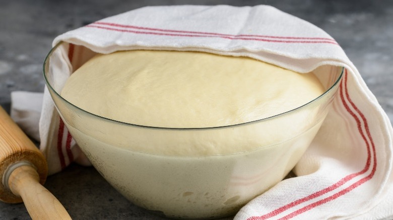 A bowl of puffy, airy yeasted dough rises on the kitchen counter