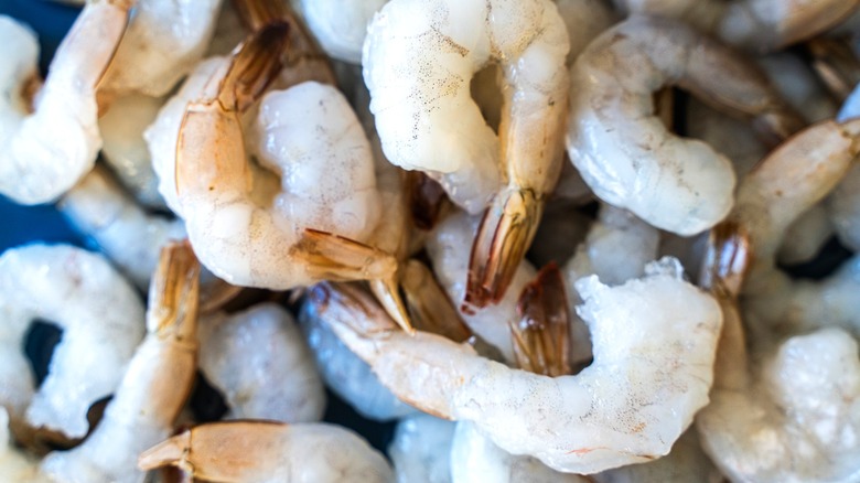closeup of frozen raw shrimp