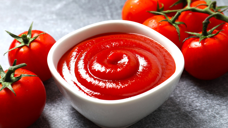 Bowl of ketchup surrounded by fresh tomatoes