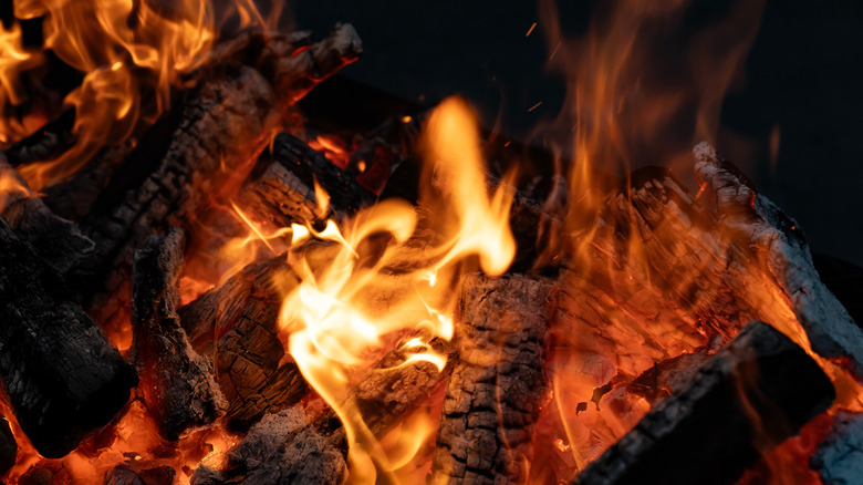 Bonfire flames and logs against a black background.