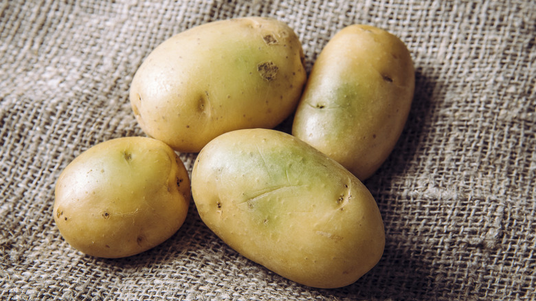Potatoes with a hint of green on a burlap background