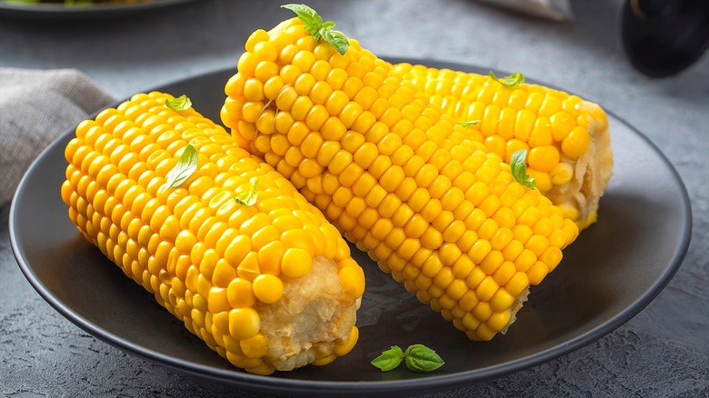 Boiled corn on the cob sprinkled with fresh basil on a black plate