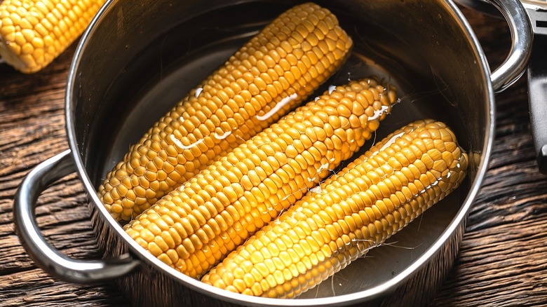 Three ears of corn on the cob in a pot of water