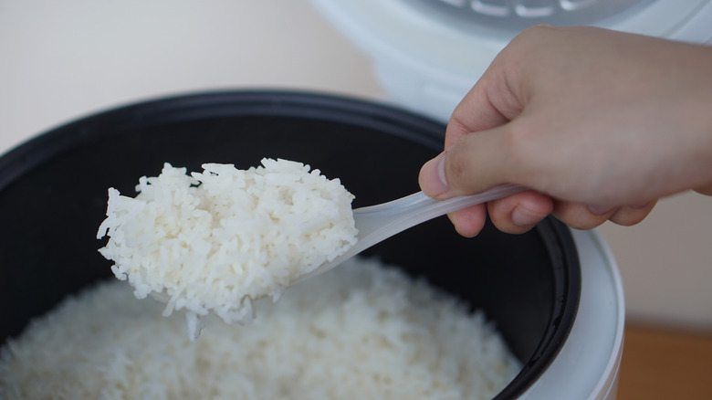 Person taking rice out of a rice cooker with a spoon