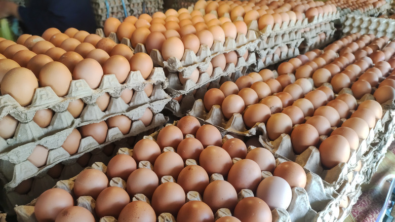 Cartons of eggs