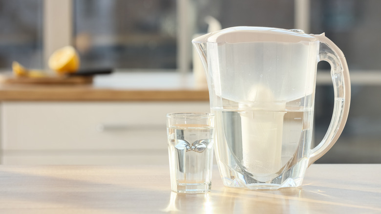 Water filter pitcher sitting on a counter