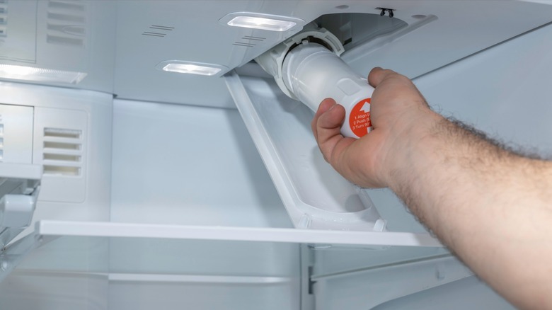 Person changing a fridge water filter