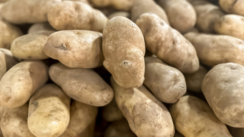 A large stack of uncooked russet potatoes.