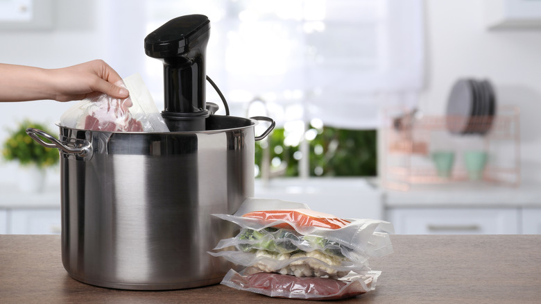 A person's hand is seen dropping a sealed item into a sous vide machine.