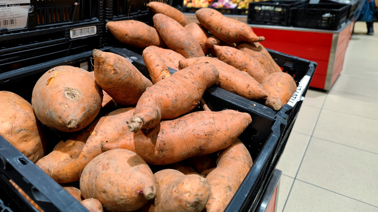 Sweet potatoes in a plastic box in a supermarket.