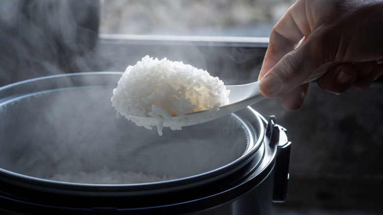 Hand holding a spoonful of rice