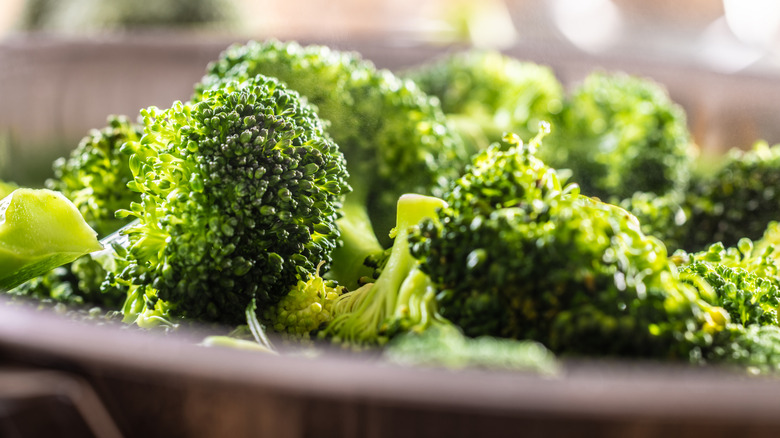 a close up of steamed broccoli