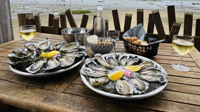Plates of oysters on table