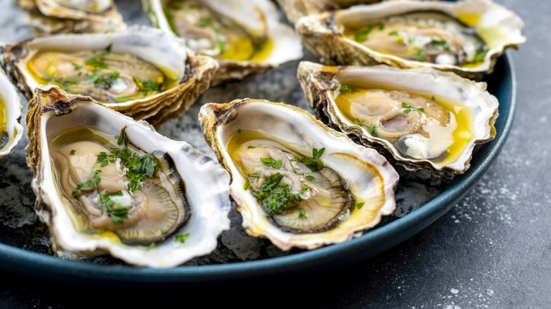 Oysters on the half shell