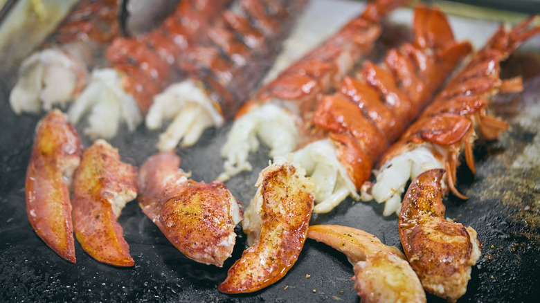 Lobster meat and shells