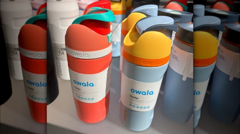 Colorful Owala FreeSip water bottles standing on a shelf