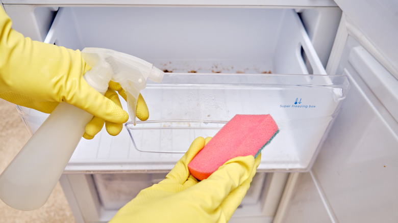 Pair of gloved hands cleaning inside of freezer