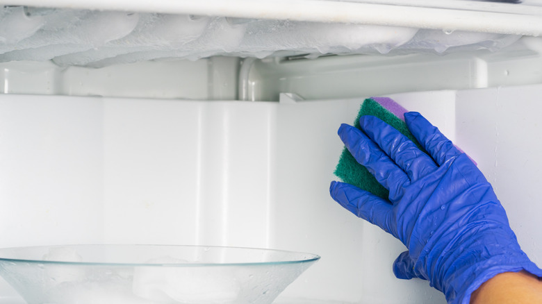 Gloved hand cleaning freezer with a sponge