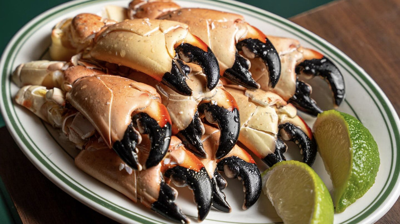 a plate of stone crab claws