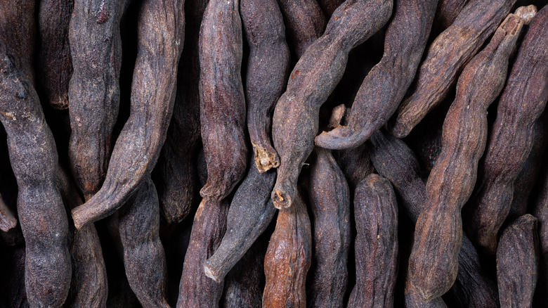 The dark pods containing grains of selim