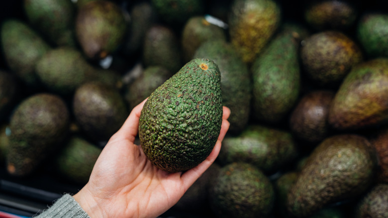 Holding avocado in grocery store