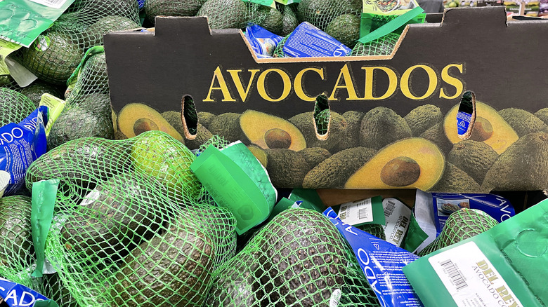 bulk avocados in green fruit bags