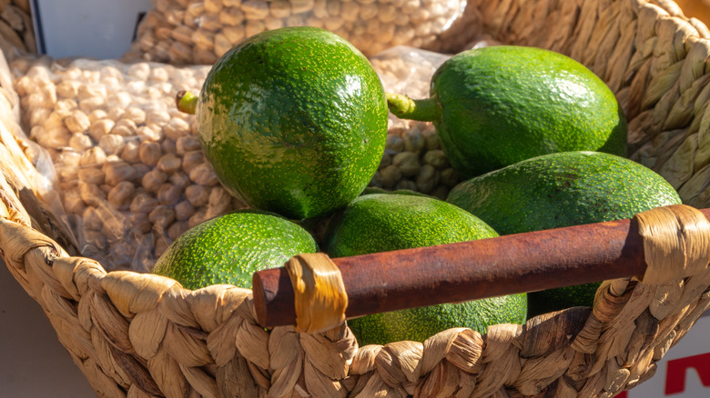 basket of green avocados