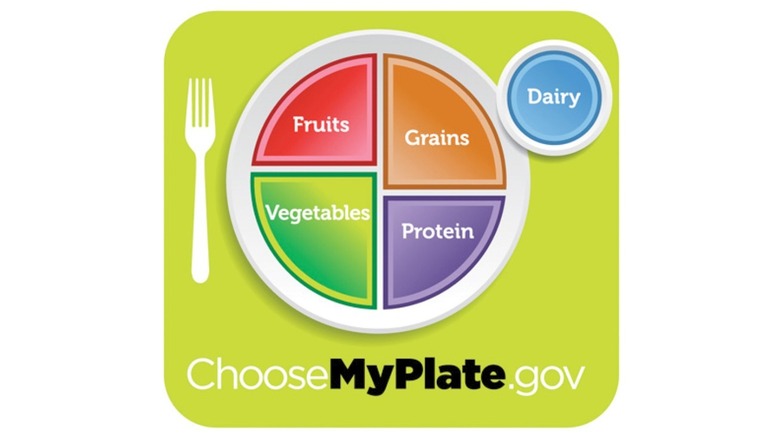 The 2011 food "pyramid", a plate split into fruits, grains, vegetables and protein.
