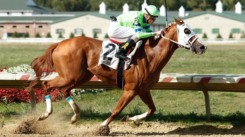A horse and jockey at the Thistledown Race Track
