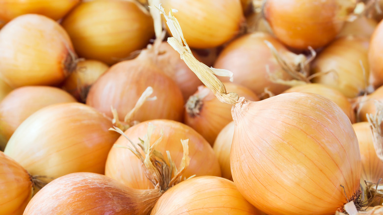 a bunch of Patterson onions in a bin