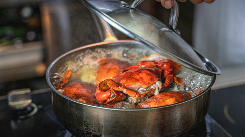 lobsters boiling in pot of water