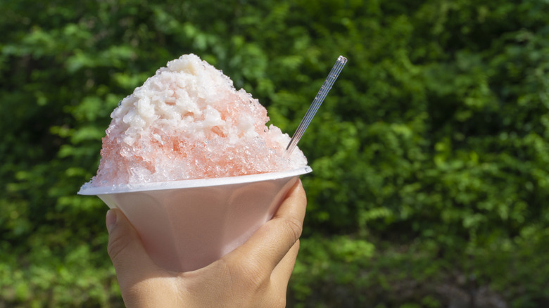 Hand holding up a snow cone in front of greenery