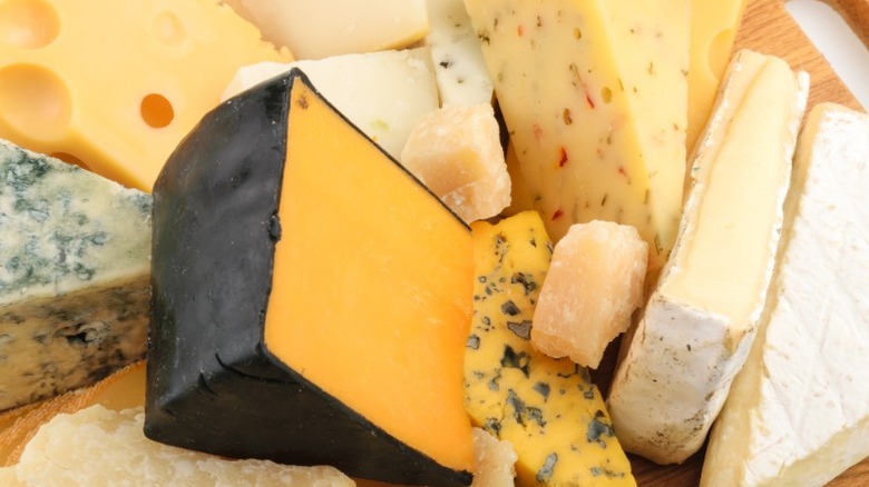 Different kinds of cheese with various flavors and colorings.