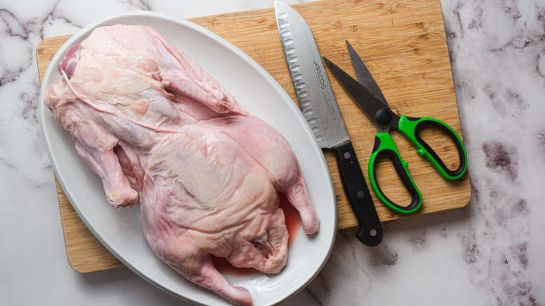 Duck with cutting board, poultry shears and chef's knife