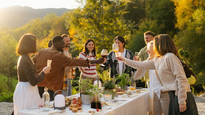 Group of friends outdoors at a dinner party toasting each other