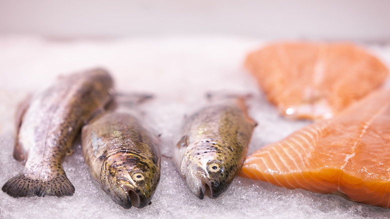 Salmon on ice