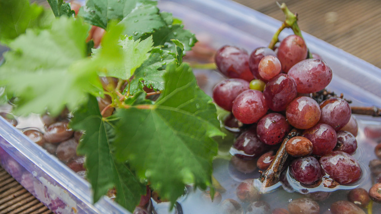 Red grapes soaking in a tub of water