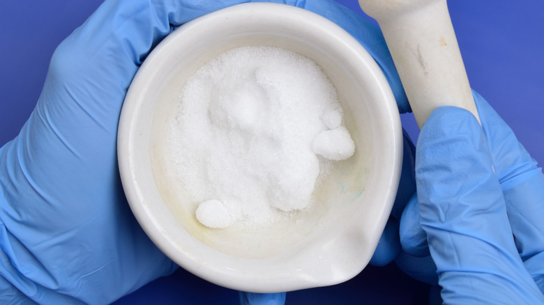 Blue-gloved hands holding cream of tartar in a white mortar and pestle.