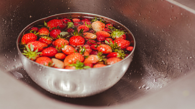Strawberries soaking in a bowl of vinegar water in the sink