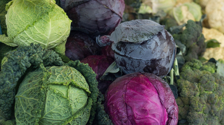 Assorted cabbage varieties displayed at a market
