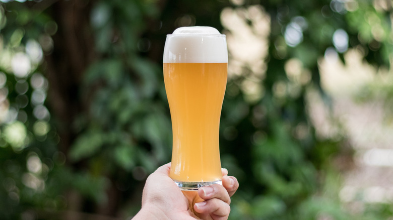 Pint of beer