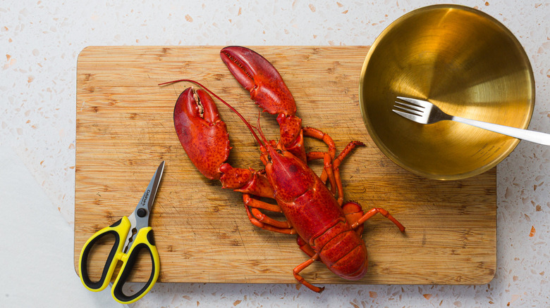cutting board with whole lobster, shears and bowl
