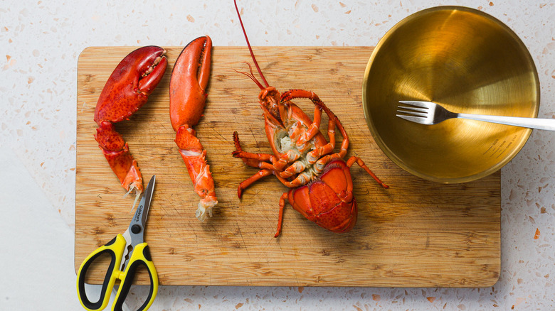 Lobster with claws removed